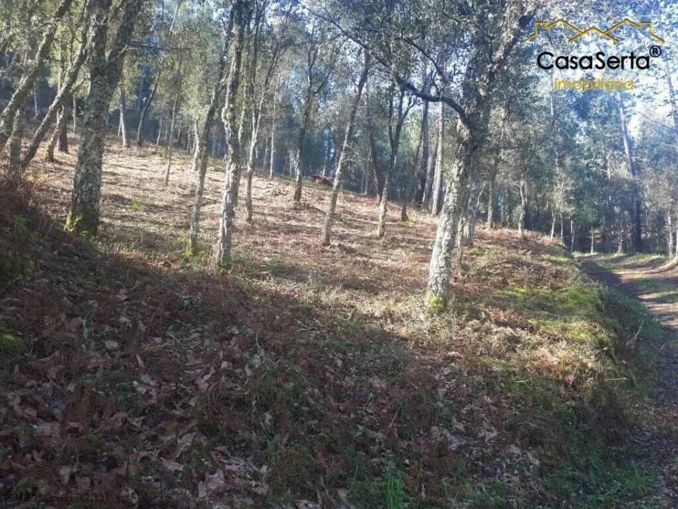 Terreno para Venda em Sertã Foto 6