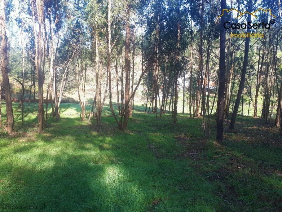 Terreno para Venda em Sertã Foto 7