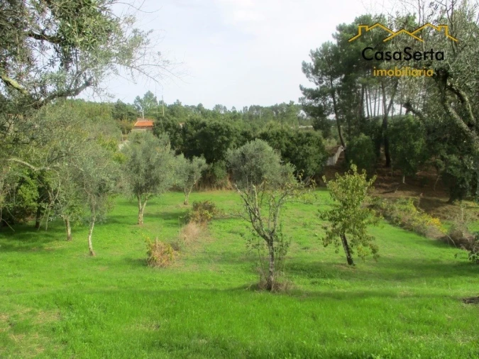 Terreno para Venda em Cumeada e Marmeleiro Foto 2