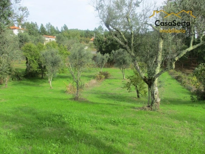 Terreno para Venda em Cumeada e Marmeleiro