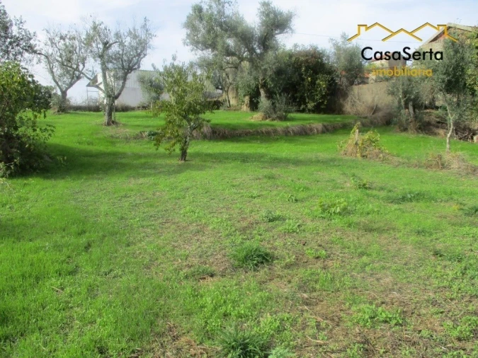 Terreno para Venda em Cumeada e Marmeleiro Foto 4