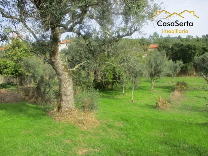 Terreno para Venda em Cumeada e Marmeleiro Foto 3