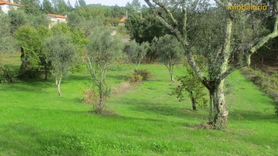 Terreno para Venda em Cumeada e Marmeleiro