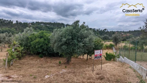 Terreno para Venda em Sertã