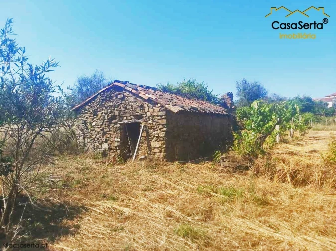 Terreno para Venda em Sertã Foto 10