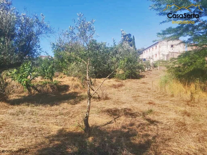 Terreno para Venda em Sertã Foto 7