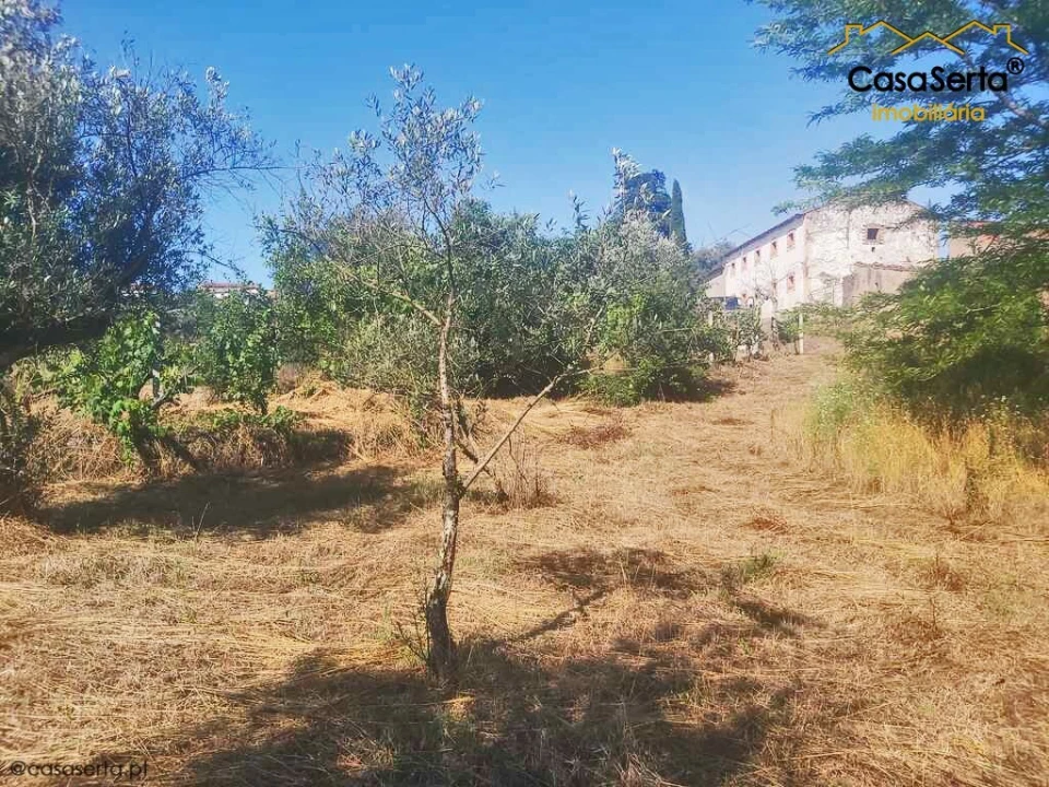 Terreno para Venda em Sertã Foto 7