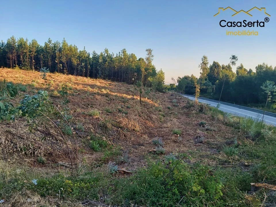 Terreno para Venda em Sertã Foto 3