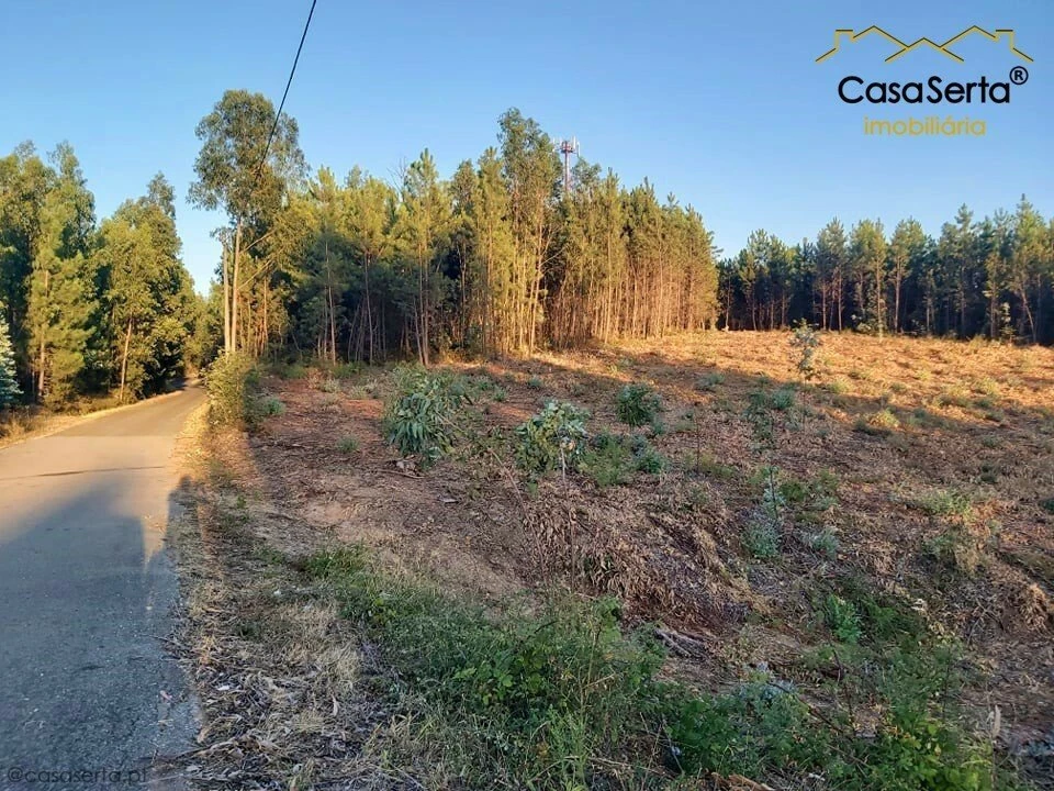 Terreno para Venda em Sertã Foto 2