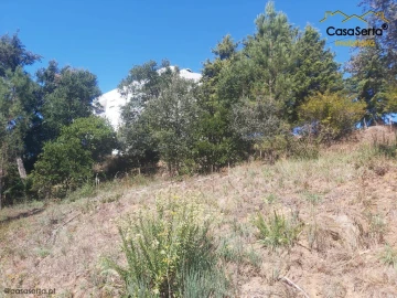 Terreno para Venda em Sertã