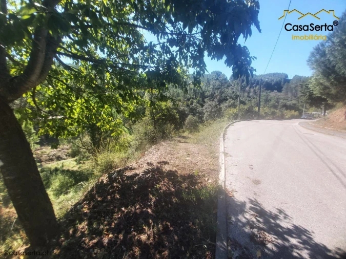 Terreno para Venda em Sertã Foto 2