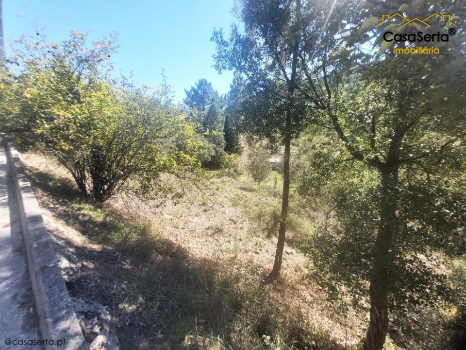 Terreno para Venda em Sertã Foto 3