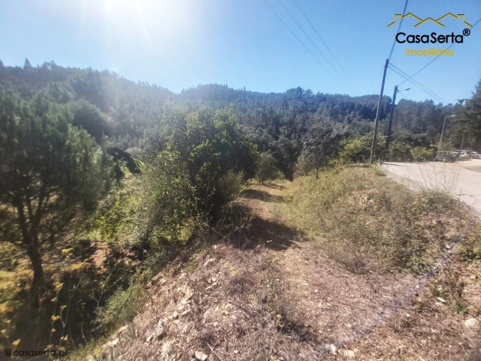 Terreno para Venda em Sertã Foto 4