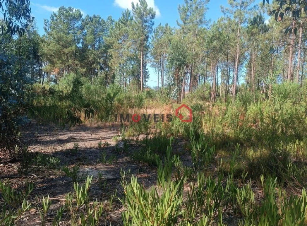 Terreno para Venda em Marrazes e Barosa Foto 7
