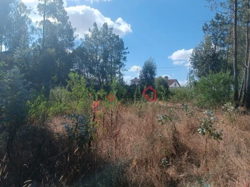 Terreno para Venda em Marrazes e Barosa