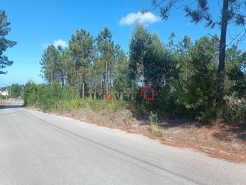 Terreno para Venda em Marrazes e Barosa