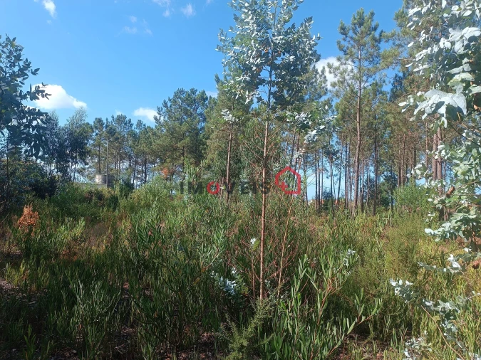 Terreno para Venda em Marrazes e Barosa Foto 10