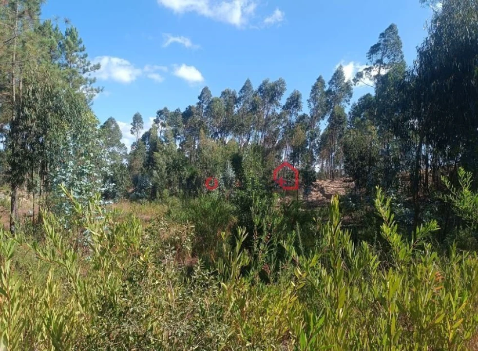 Terreno para Venda em Marrazes e Barosa Foto 11