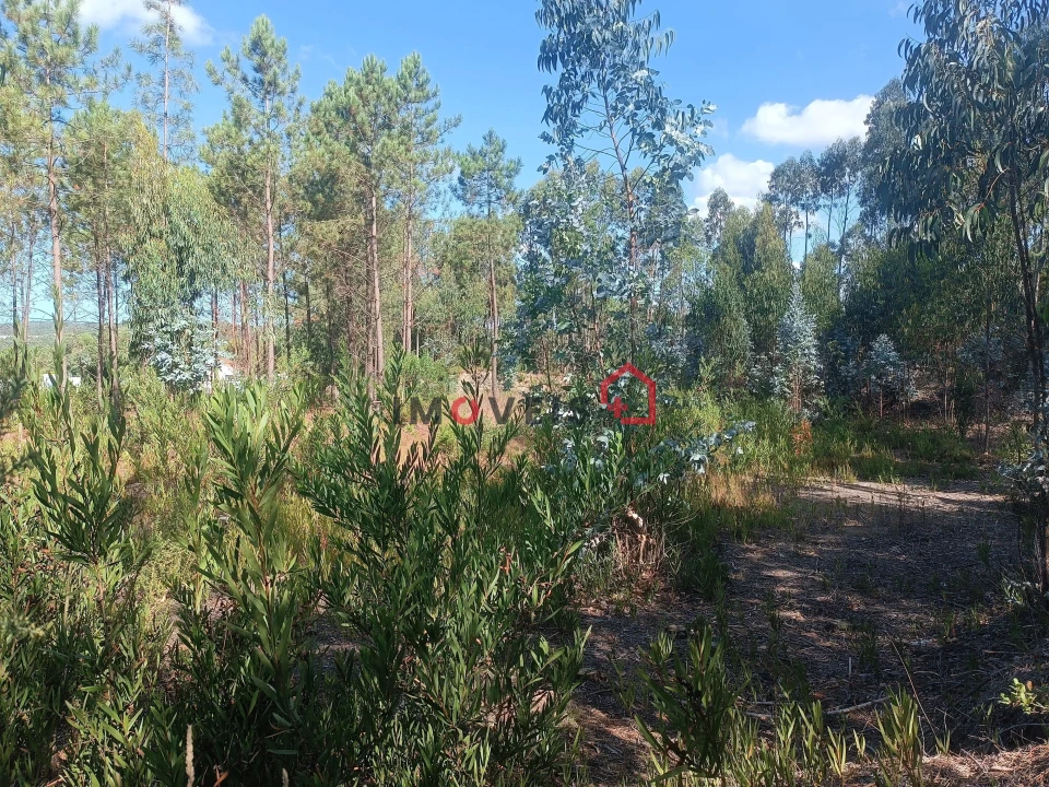 Terreno para Venda em Marrazes e Barosa Foto 8