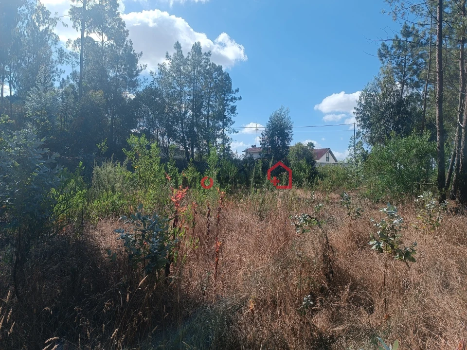 Terreno para Venda em Marrazes e Barosa Foto 9