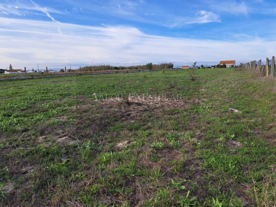 Terreno para Venda em Montijo e Afonsoeiro Foto 4