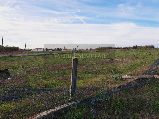 Terreno para Venda em Montijo e Afonsoeiro Foto 3