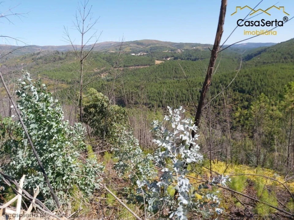 Terreno para Venda em Mosteiro Foto 1
