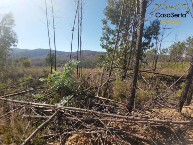 Terreno para Venda em Mosteiro Foto 7