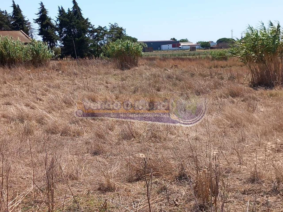 Terreno para Venda em Benavente Foto 3
