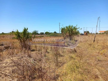 Terreno para Venda em Benavente