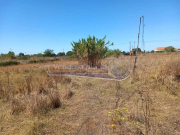 Terreno para Venda em Benavente