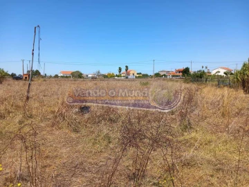Terreno para Venda em Benavente