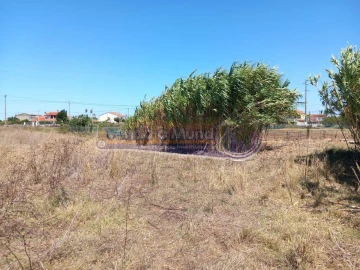 Terreno para Venda em Benavente