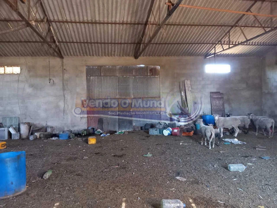 Terreno para Venda em Benavente Foto 7