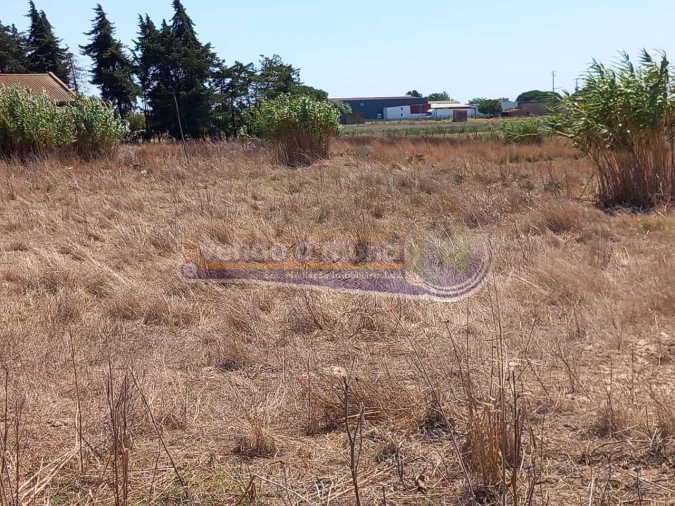 Terreno para Venda em Benavente Foto 3