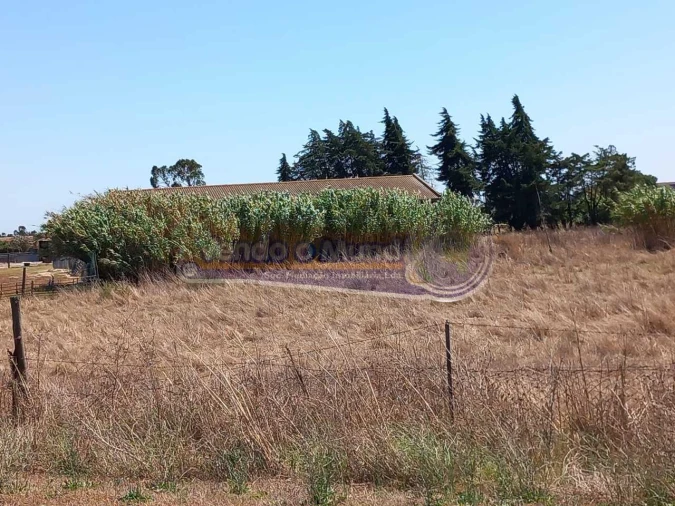Terreno para Venda em Benavente Foto 10
