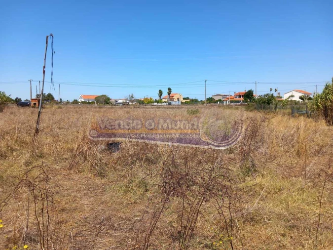 Terreno para Venda em Benavente Foto 11
