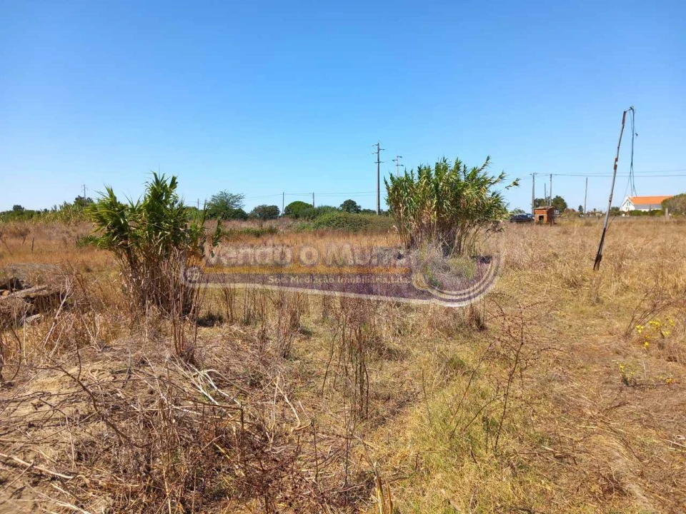 Terreno para Venda em Benavente Foto 2