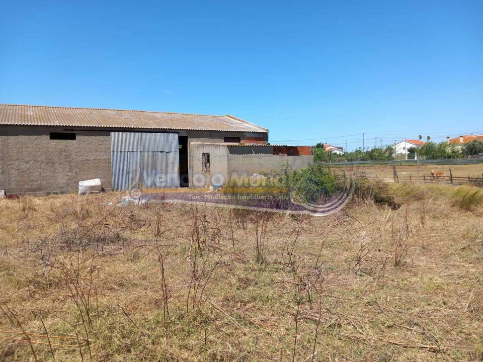 Terreno para Venda em Benavente Foto 5