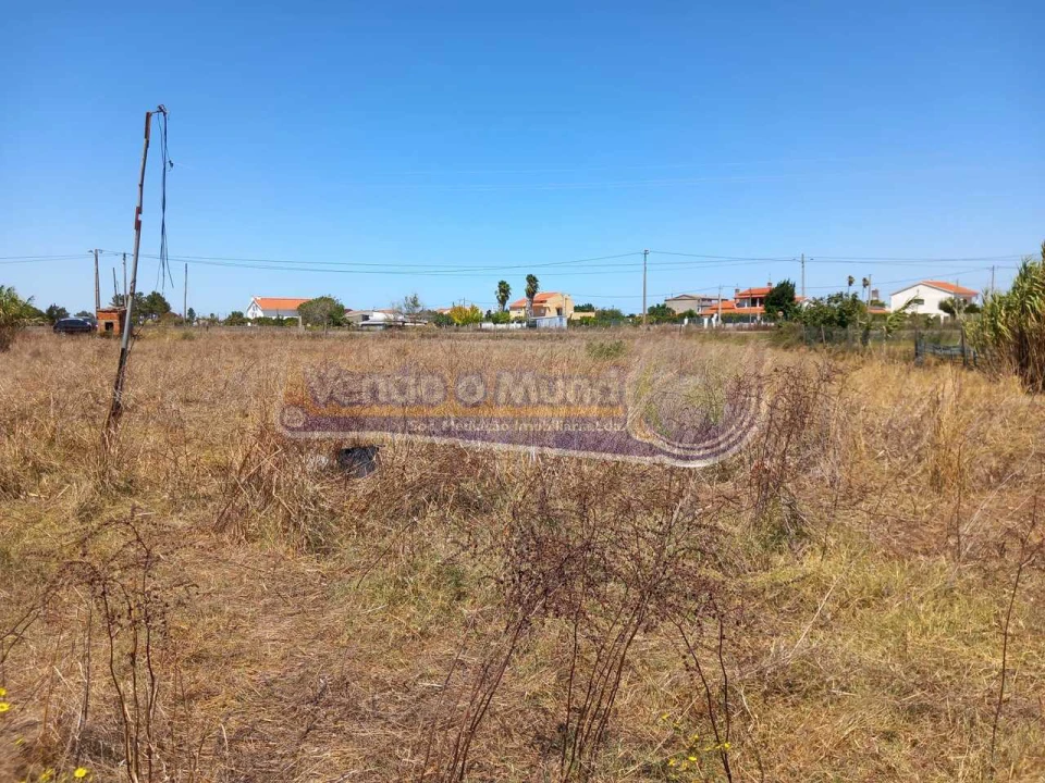 Terreno para Venda em Benavente Foto 11