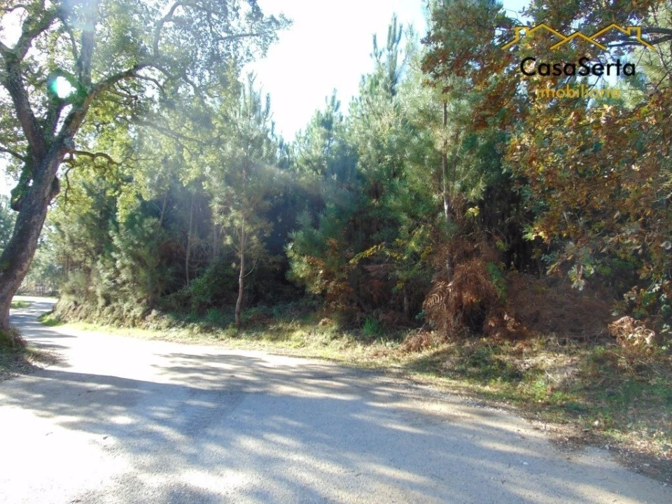 Terreno para Venda em Sertã Foto 6