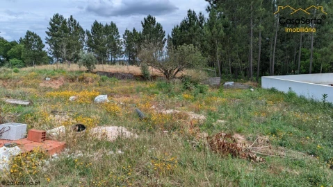 Terreno para Venda em Sertã