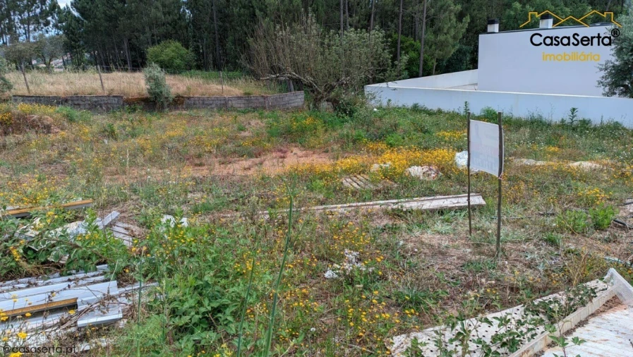 Terreno para Venda em Sertã Foto 3