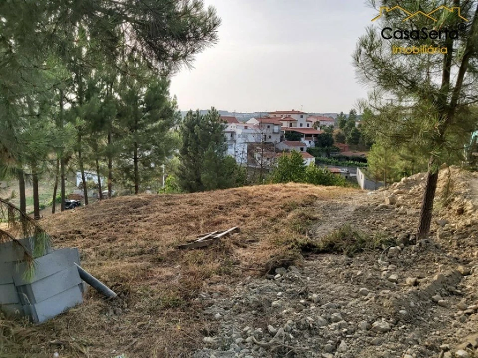 Terreno para Venda em Sertã Foto 3