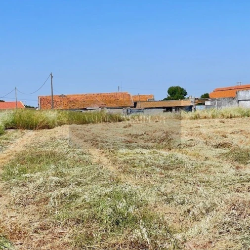 Terreno para Venda em Atalaia e Alto Estanqueiro-Jardia Foto 8