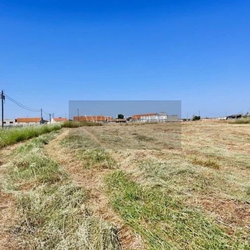 Terreno para Venda em Atalaia e Alto Estanqueiro-Jardia Foto 3