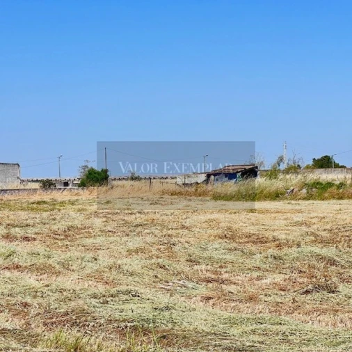 Terreno para Venda em Atalaia e Alto Estanqueiro-Jardia Foto 9