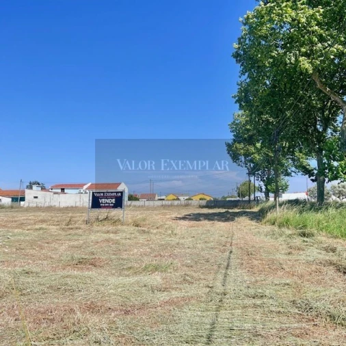 Terreno para Venda em Atalaia e Alto Estanqueiro-Jardia Foto 6