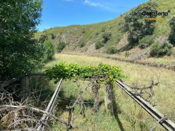 Terreno para Venda em Sertã