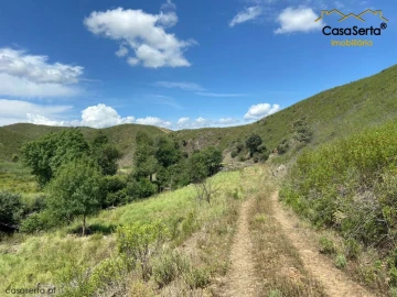 Terreno para Venda em Sertã